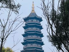 -重庆园博园