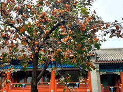 -北京石刻艺术博物馆(五塔寺)