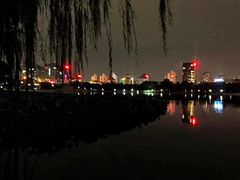 -莲花池公园