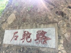 -阳台山自然风景区