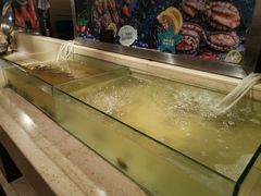 水产区-芭菲盛宴·环球美食(袁家岗店)