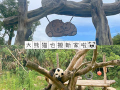 -宁波野生动物园