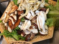 -野菌园·野生菌火锅首创第一家(关兴路总店)
