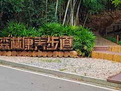 -广州市帽峰山景区