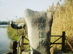 -溱湖国家湿地公园