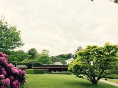 -路易斯安那现代艺术博物馆咖啡厅