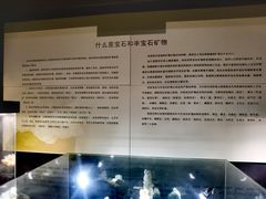 -中华赏石园
