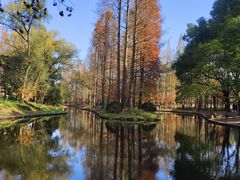 -共青国家森林公园-售票处