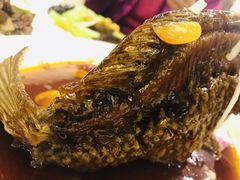 罾蹦鲤鱼-津菜宋记老房子(鼓楼店)