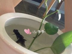 -醒味咖啡馆(南市桥巷店)