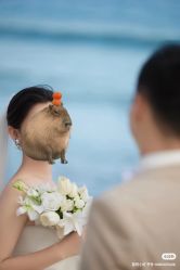 -麦田·婚纱摄影(天河新天地店)