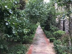 -天鹅湖生态旅游风景区