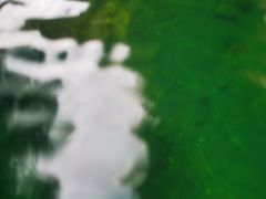 -阿哈湖国家湿地公园
