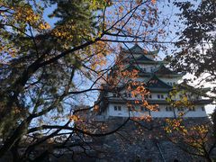 -名古屋城