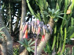 -南通洲际绿博园