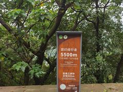 -惠山国家森林公园