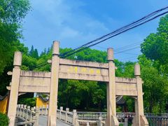 -金泽古镇