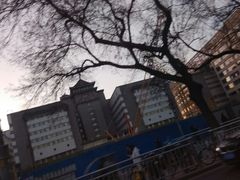 -北京协和医院(东单院区)