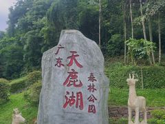 -天鹿湖森林公园