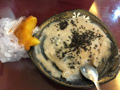 -海丝金凤(金鱼店)