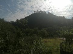 -木兰云雾山