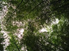 景点-穹窿山景区