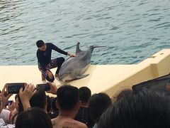 -秦皇岛乐岛海洋王国