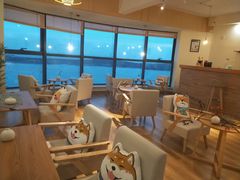 -柴犬小屋·柴餐厅·狗咖食堂(金鼎广场店)