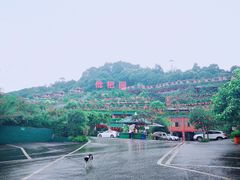 -枇杷园食为鲜火锅(南山店)