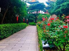 -阅江楼风景区
