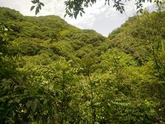 -太平万花山景区