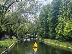 -上海共青森林公园