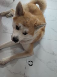 -JX今喜美甲美睫