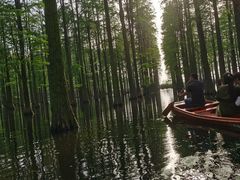 -渌洋湖湿地公园