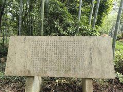-大奇山国家森林公园