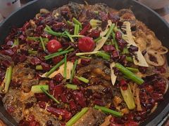 -老板恋上鱼(恒隆广场店)