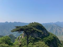 -圣莲山风景区
