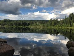 -五营红松林海景区