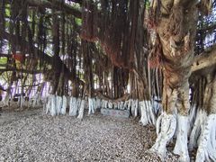 -胡里山炮台