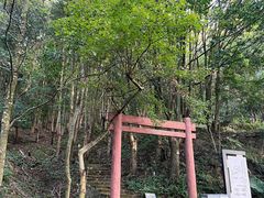 -广州市石门国家森林公园