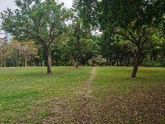 -荔香公园