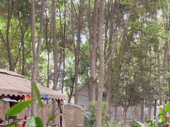 -二荆条·蜀鲜汇城市森林火锅