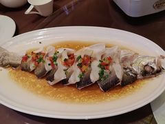 -湖北三五醇酒店·35年新楚菜