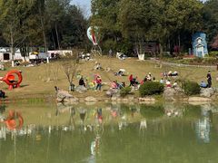 -铁山坪森林公园