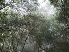 -白草畔自然风景区