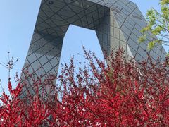 -中央广播电视总台(光华路办公区)