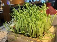 -澳美徕·港式花胶鸡火锅(高新万达店)