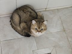 -红跑车HPCBAKERY(汉商店)