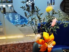 -西吉马游泳健身(协信店)