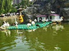 -团结湖公园
